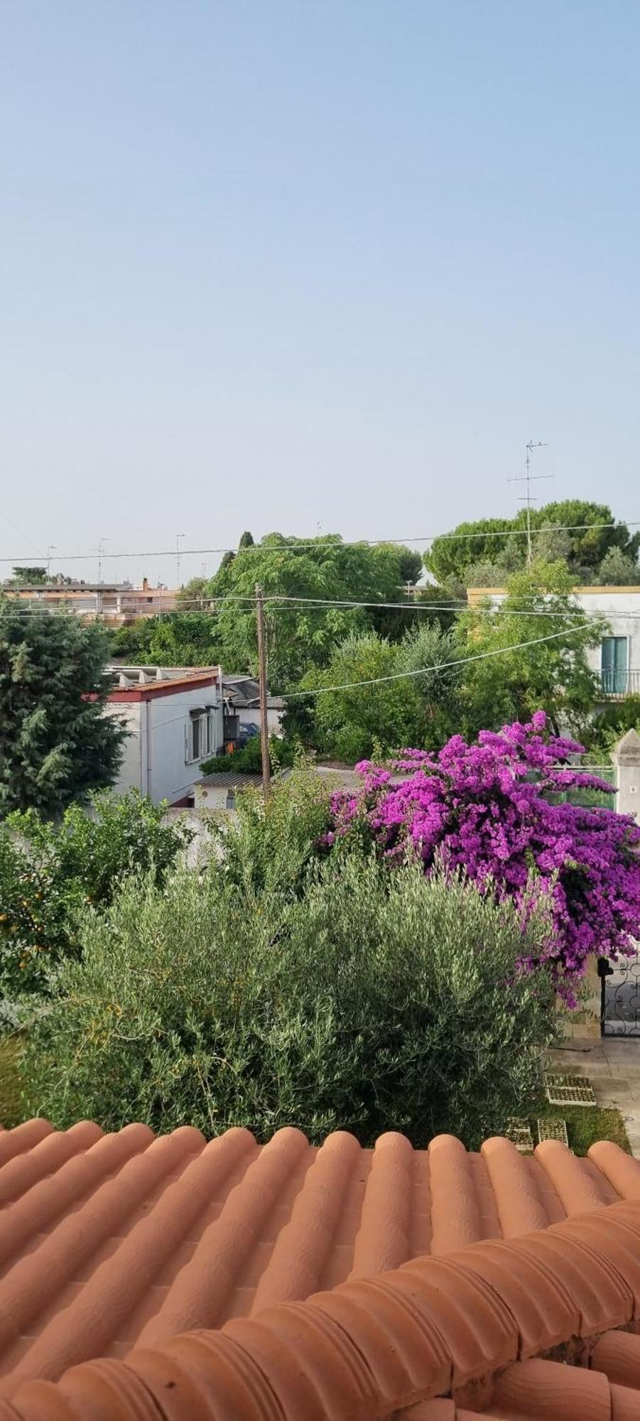 Villa Guajira Барі Екстер'єр фото