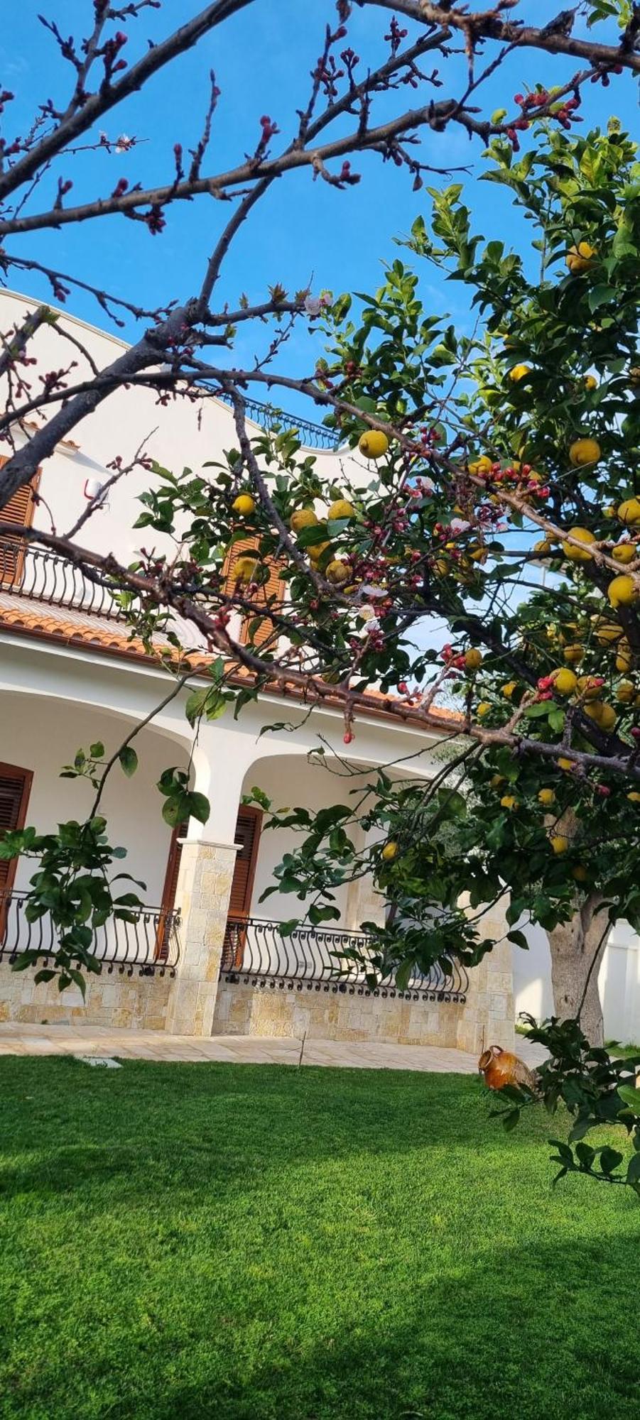 Villa Guajira Барі Екстер'єр фото
