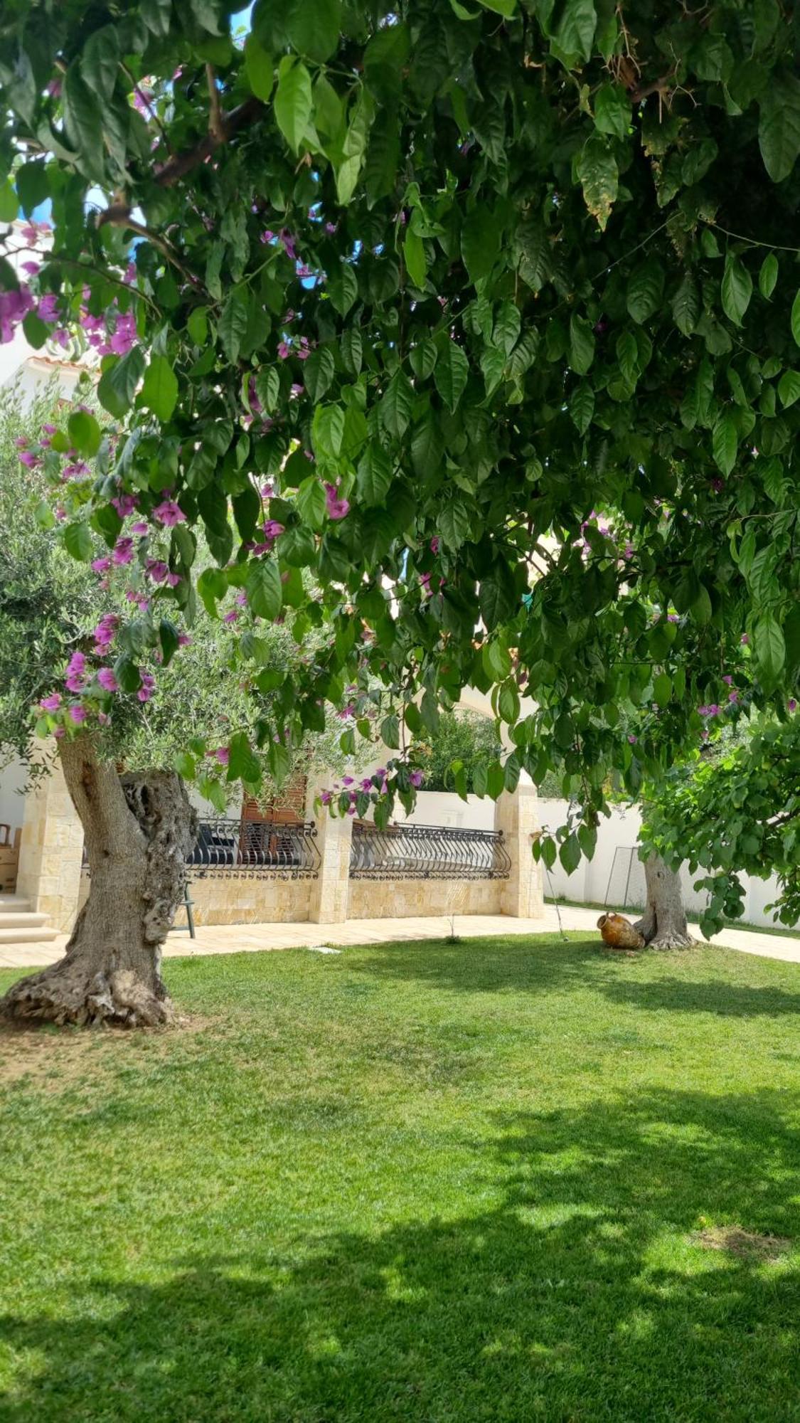 Villa Guajira Барі Екстер'єр фото