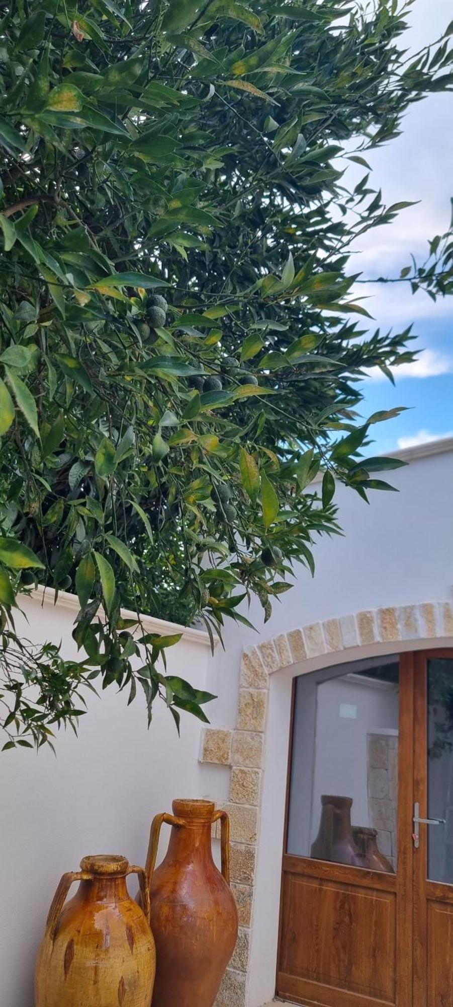 Villa Guajira Барі Екстер'єр фото