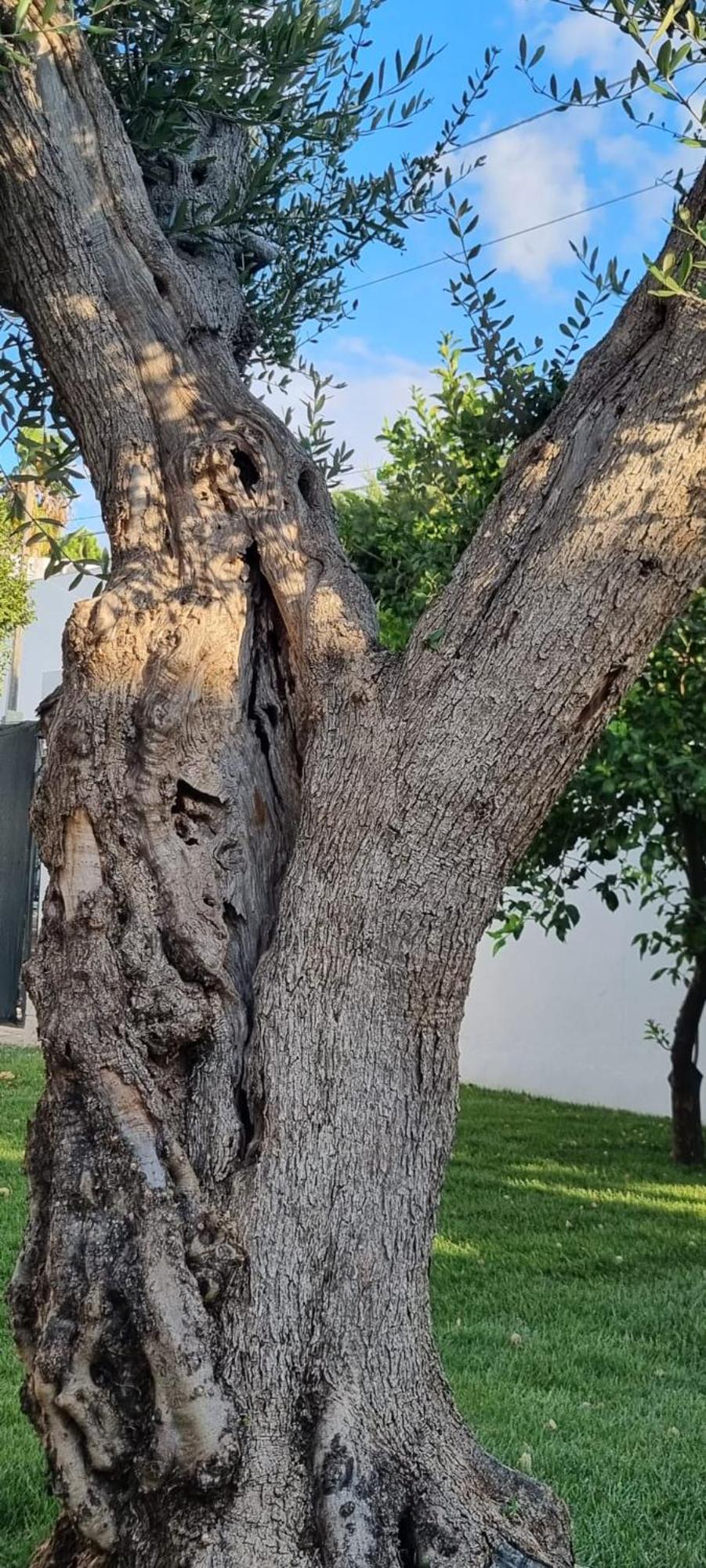 Villa Guajira Барі Екстер'єр фото