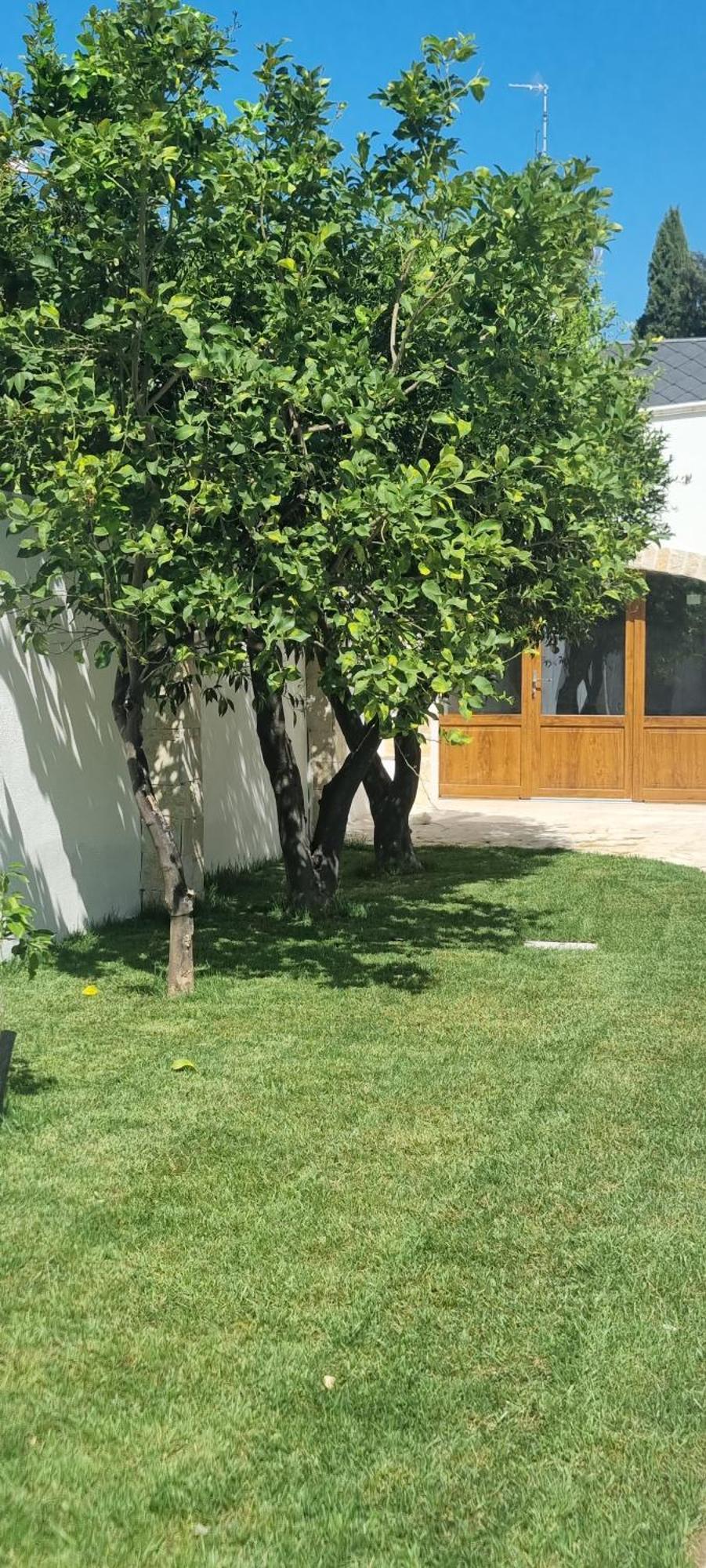 Villa Guajira Барі Екстер'єр фото
