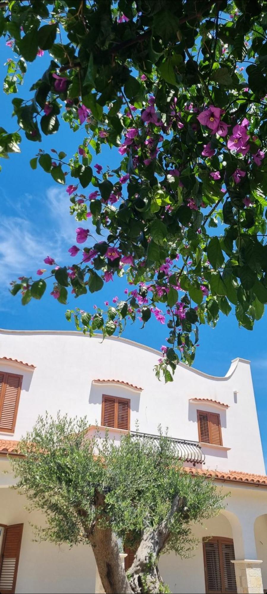 Villa Guajira Барі Екстер'єр фото